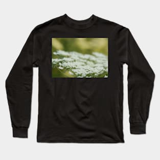 Queen Anne's Lace Macro Long Sleeve T-Shirt